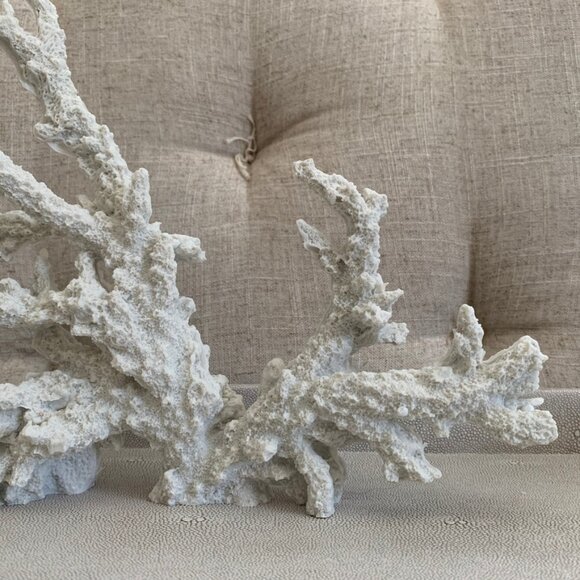 Coral branch decor - Picture 4 of 9
